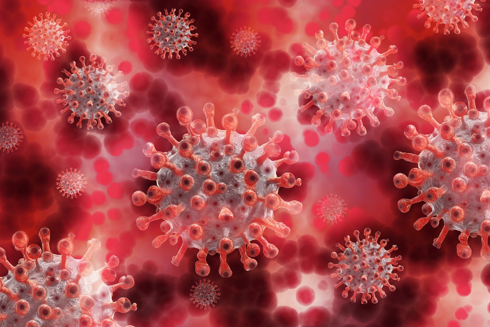 Illustration des Coronavirus